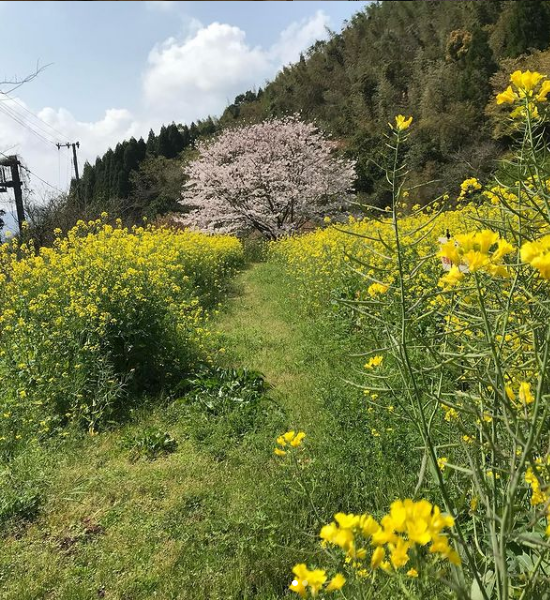 風景1