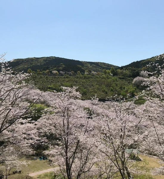 風景4